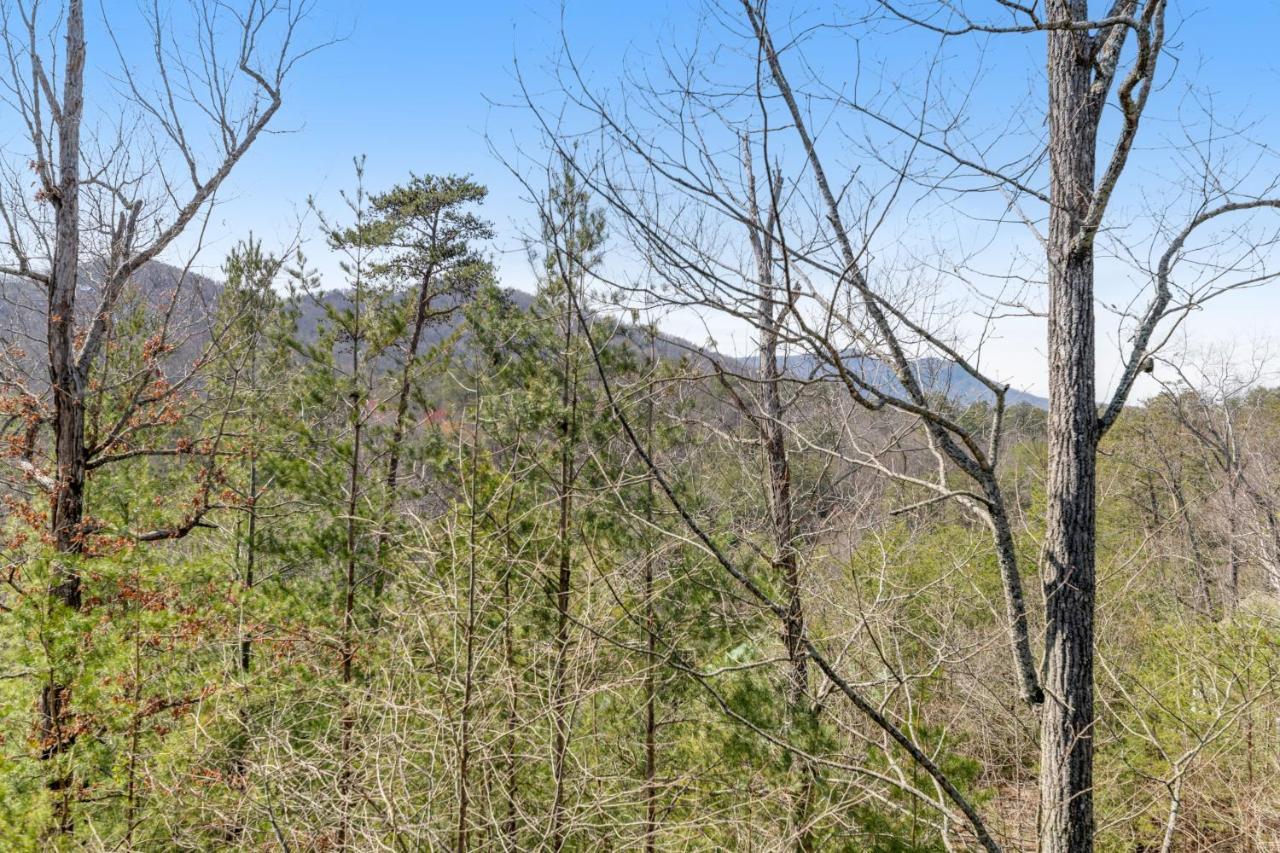 Papaw'S Bear Den Villa Pigeon Forge Exteriör bild