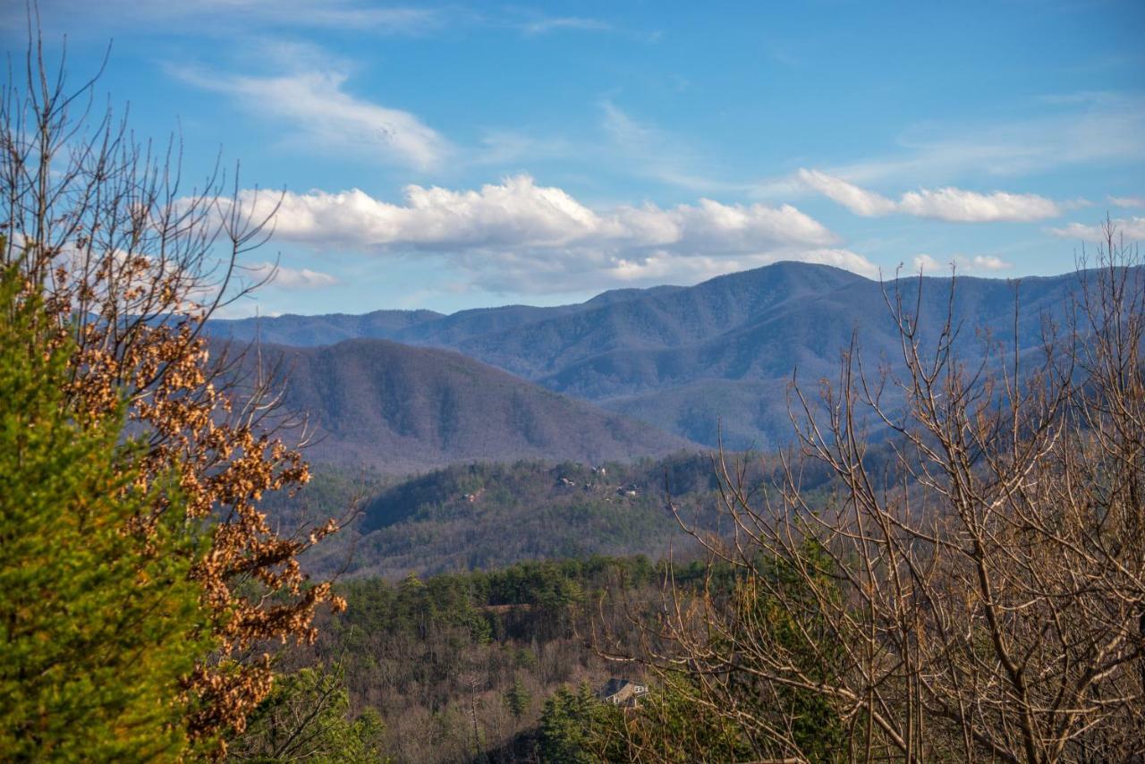 Papaw'S Bear Den Villa Pigeon Forge Exteriör bild